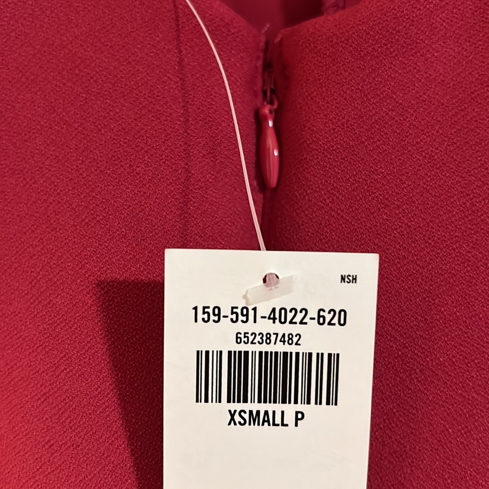 A&F Raspberry Bodycon Dress - Picture 3 of 4